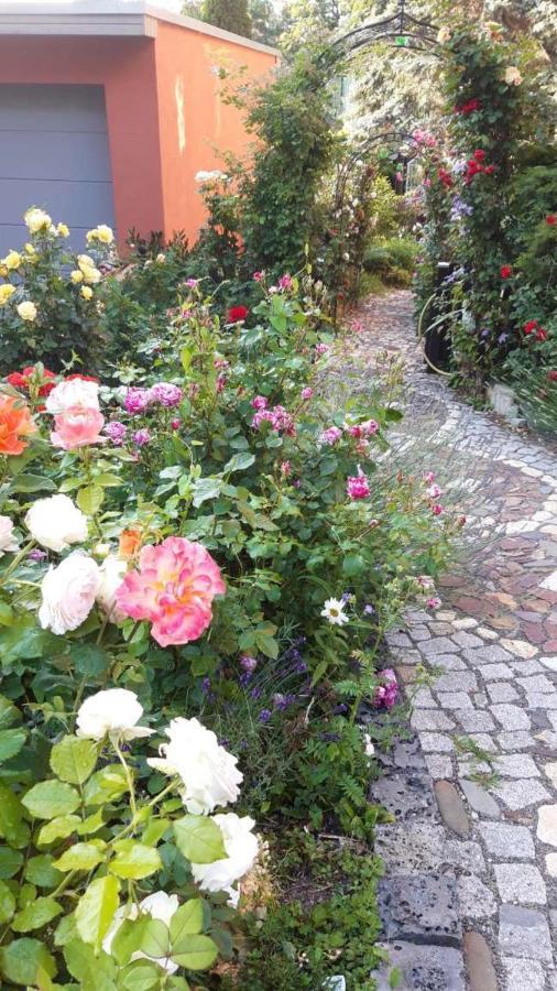 " Art Ddr" Eig Bad Dir Im Zim, 3 Og, Treppensteigen Kein Fruehhstueck Keine Kueche Nur Uebernachtung Parkpl, Wifi, Blankenb Hotel แบลงเคนบวร์ก ภายนอก รูปภาพ